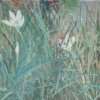 agros-41x25 001